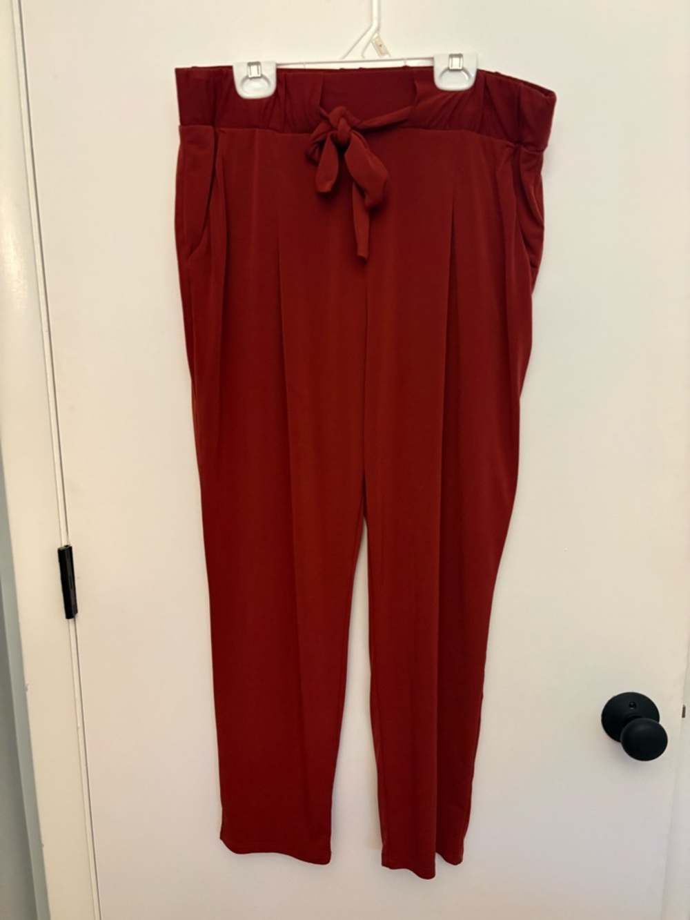 Express High-Rise Tie-Waist Trousers in Brick Red size M